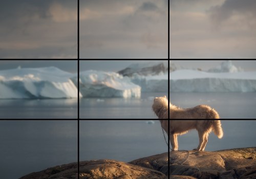 Understanding the Rule of Thirds in Photography